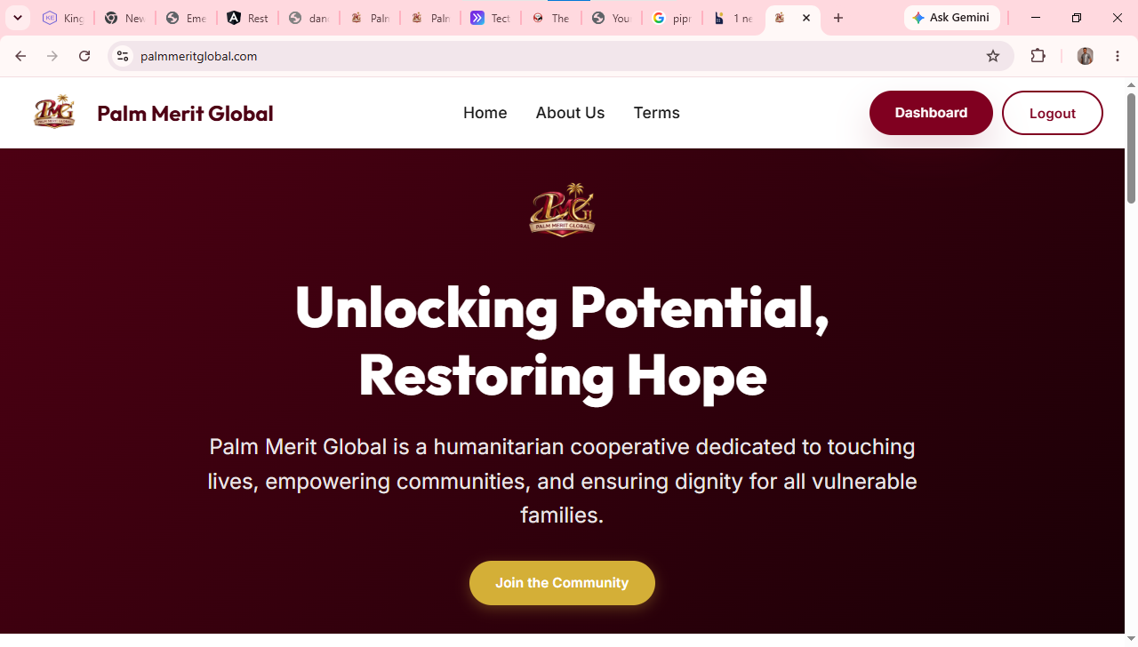 Palm Merit Global fintech platform screenshot